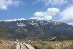 euro00444