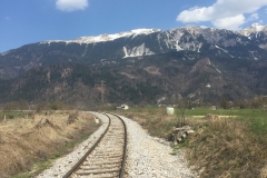 euro00445